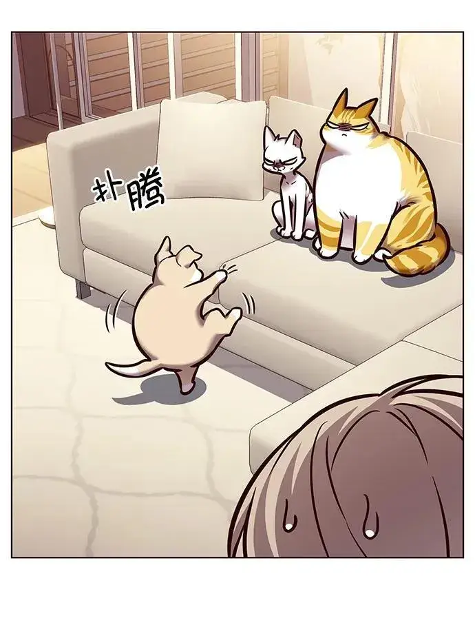 漫画《觉醒吧，铲屎官！》第279话第94张图