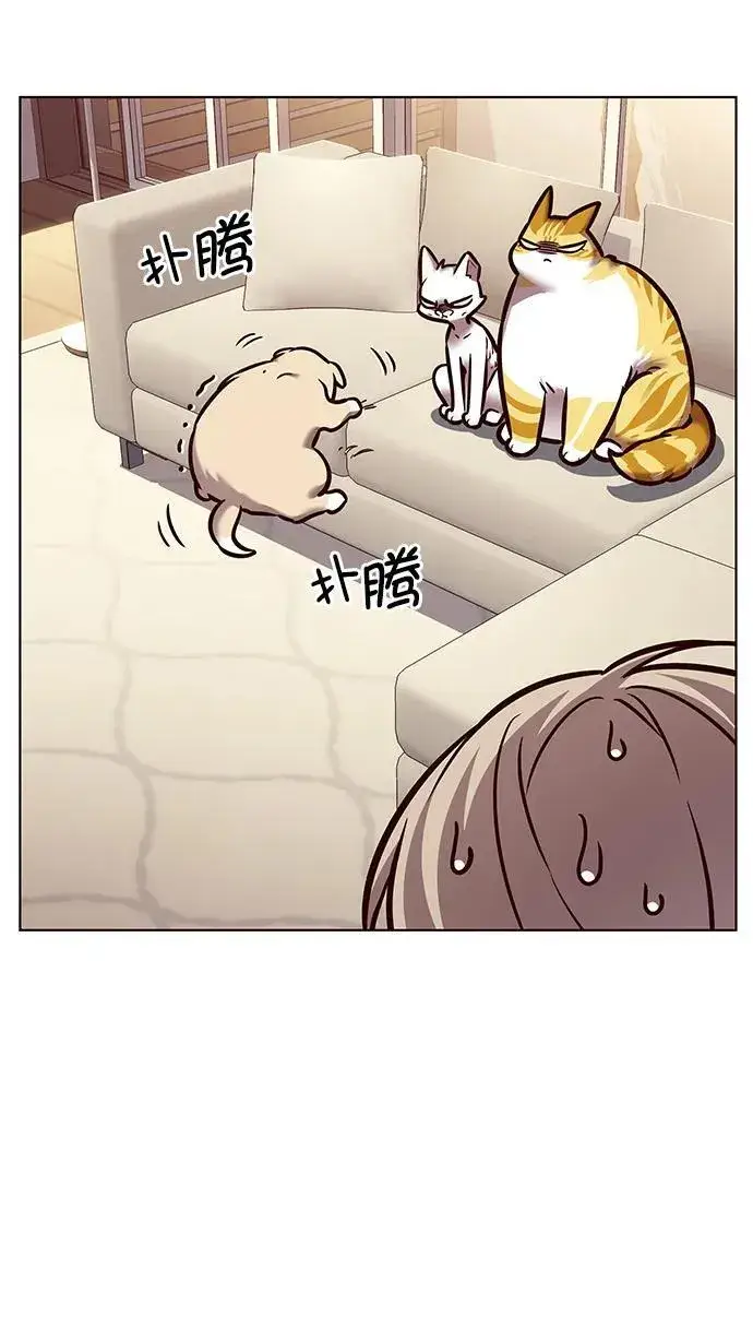 漫画《觉醒吧，铲屎官！》第279话第95张图