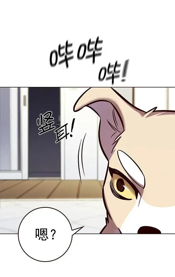 漫画《觉醒吧，铲屎官！》第280话第15张图