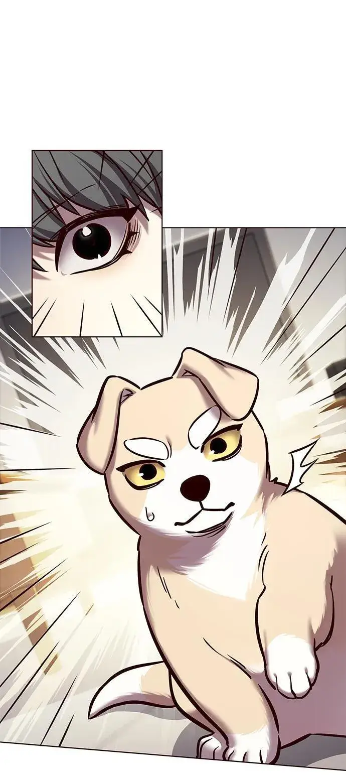 漫画《觉醒吧，铲屎官！》第280话第20张图