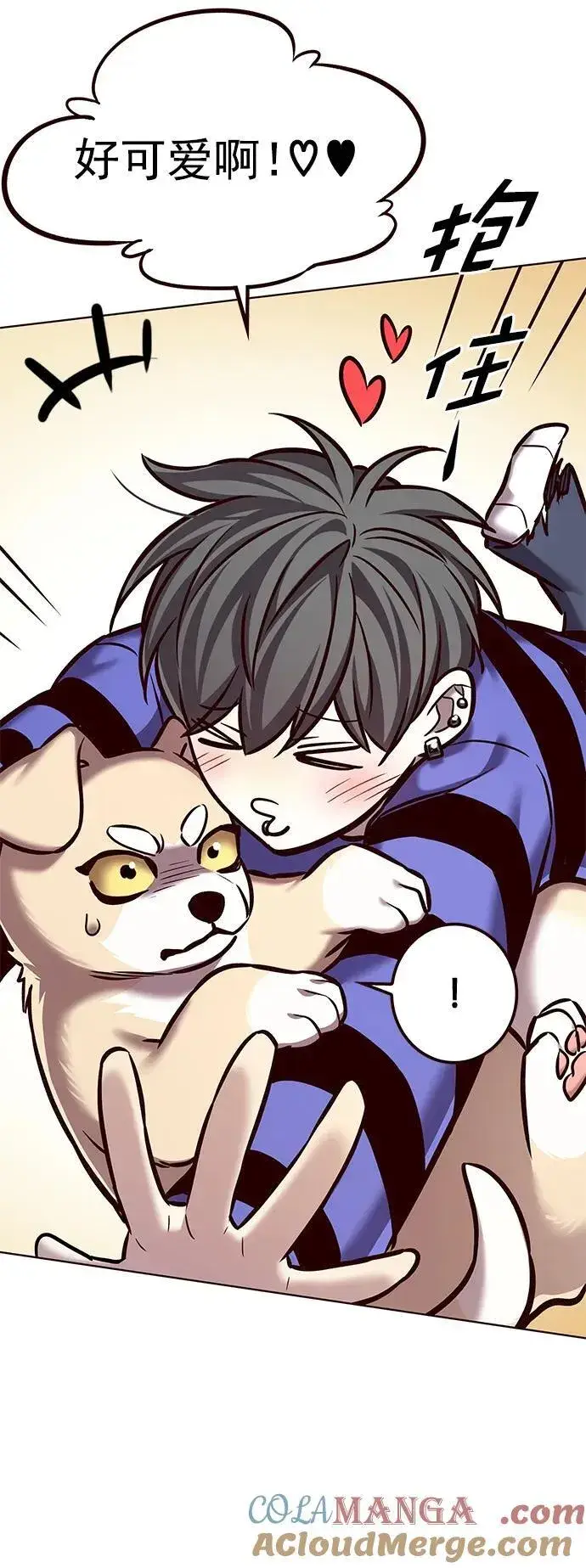 漫画《觉醒吧，铲屎官！》第280话第22张图