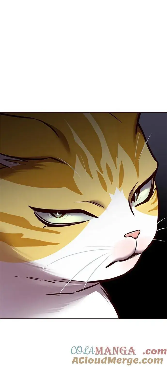 漫画《觉醒吧，铲屎官！》第280话第43张图