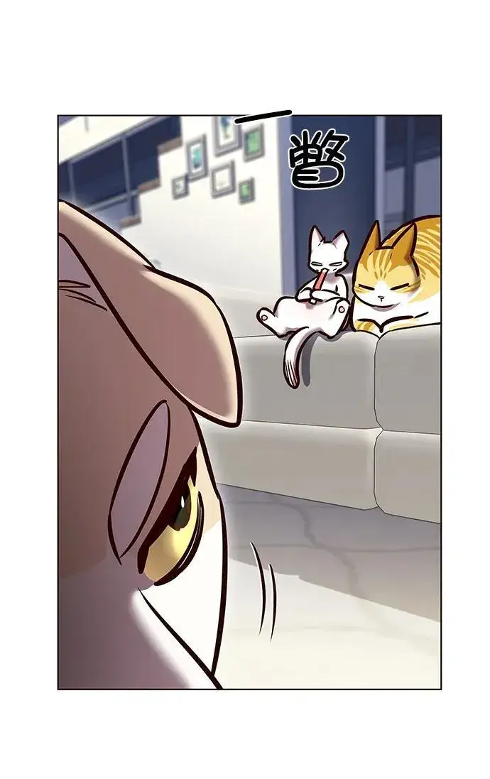 漫画《觉醒吧，铲屎官！》第280话第8张图