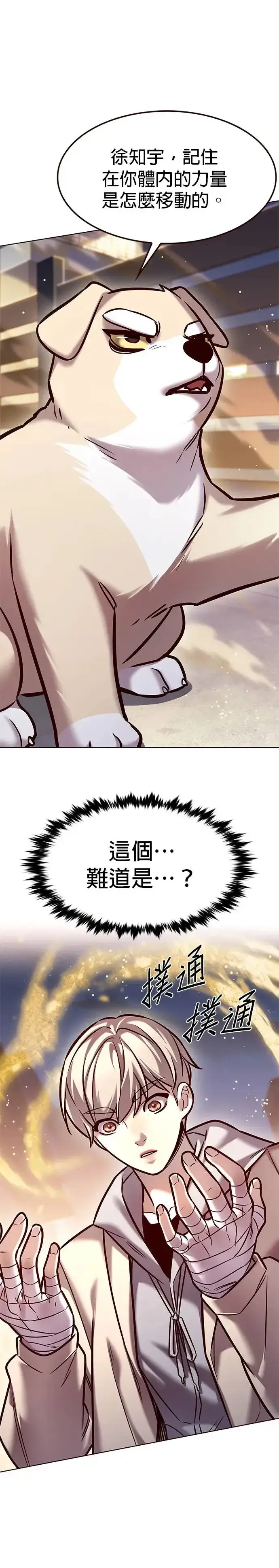漫画《觉醒吧，铲屎官！》第284话第47张图
