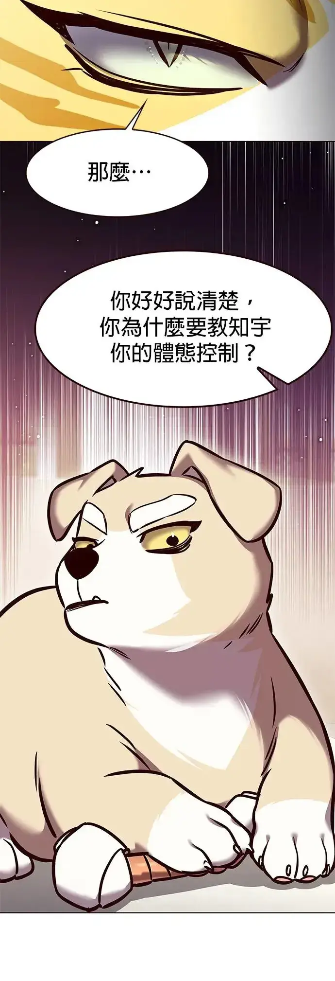 漫画《觉醒吧，铲屎官！》第285话第11张图