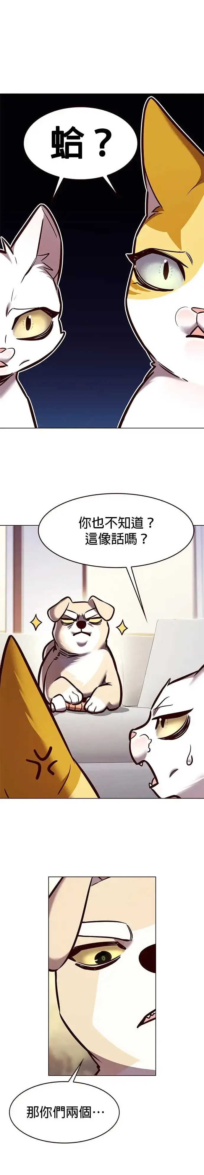 漫画《觉醒吧，铲屎官！》第285话第13张图
