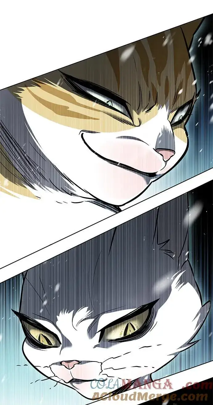 漫画《觉醒吧，铲屎官！》第334话第109张图