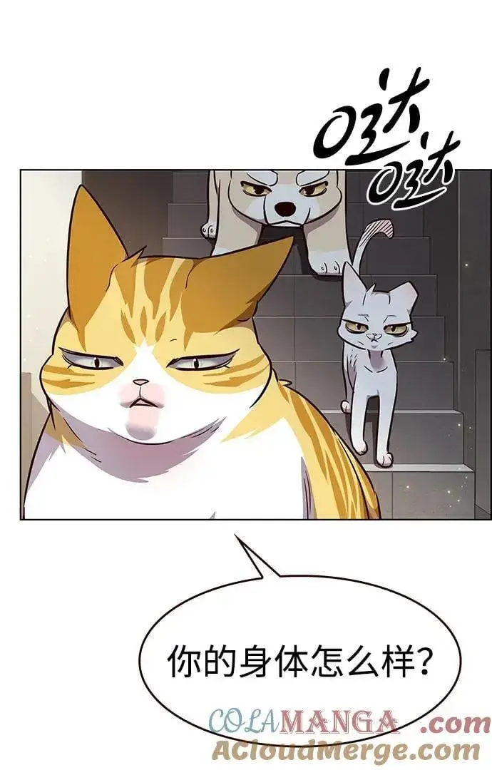 漫画《觉醒吧，铲屎官！》第337话第28张图