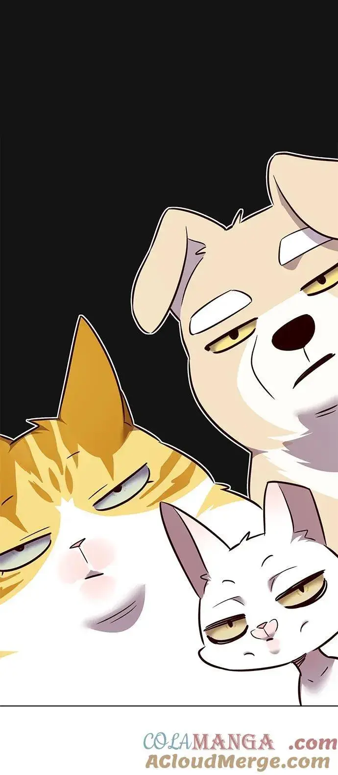 漫画《觉醒吧，铲屎官！》第343话第53张图