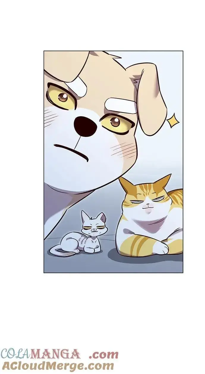 漫画《觉醒吧，铲屎官！》第345话第76张图