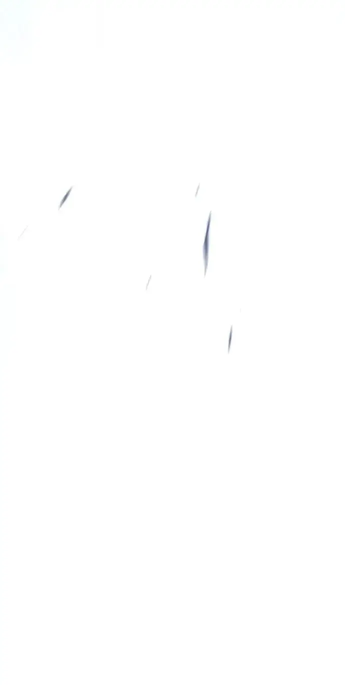 漫画《觉醒吧，铲屎官！》第274话第118张图
