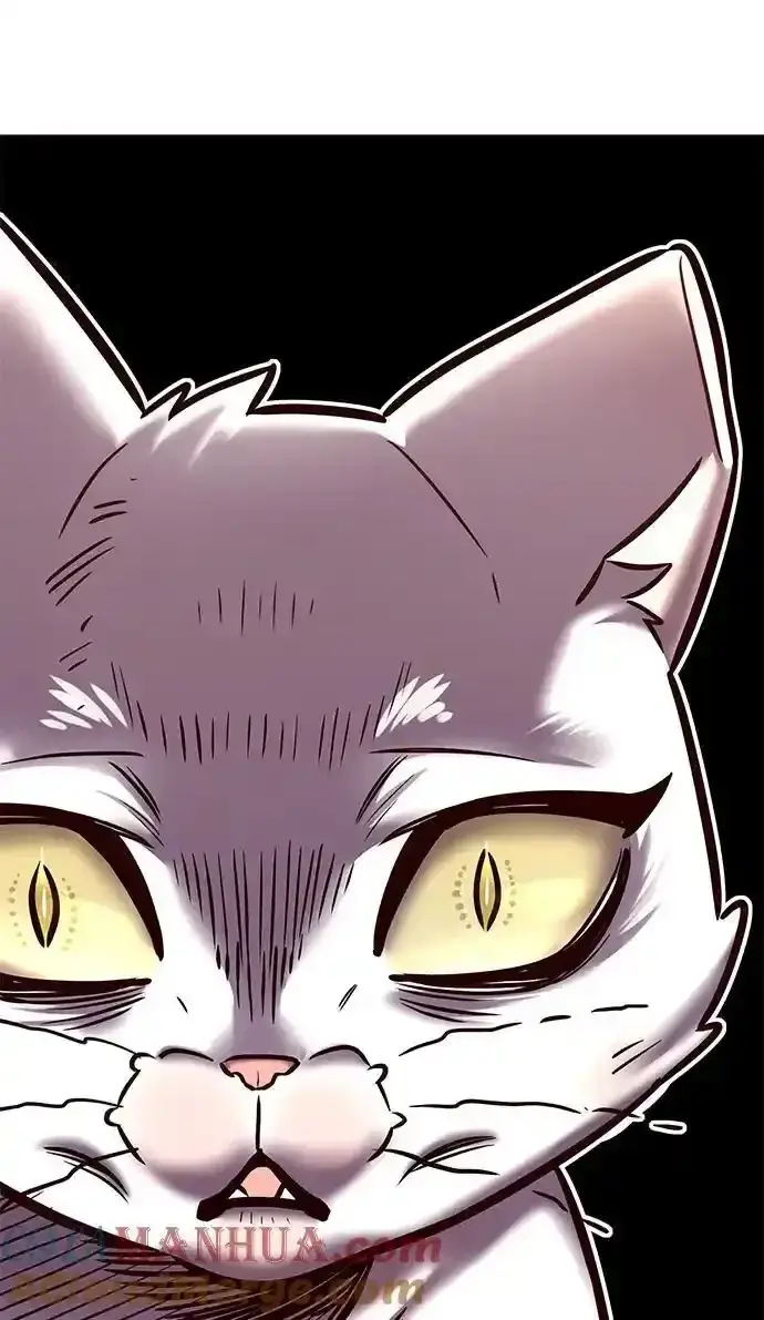 漫画《觉醒吧，铲屎官！》第275话第37张图