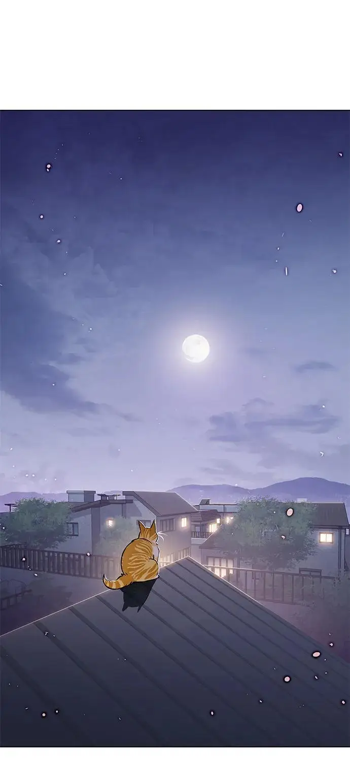 漫画《觉醒吧，铲屎官！》第364话第35张图