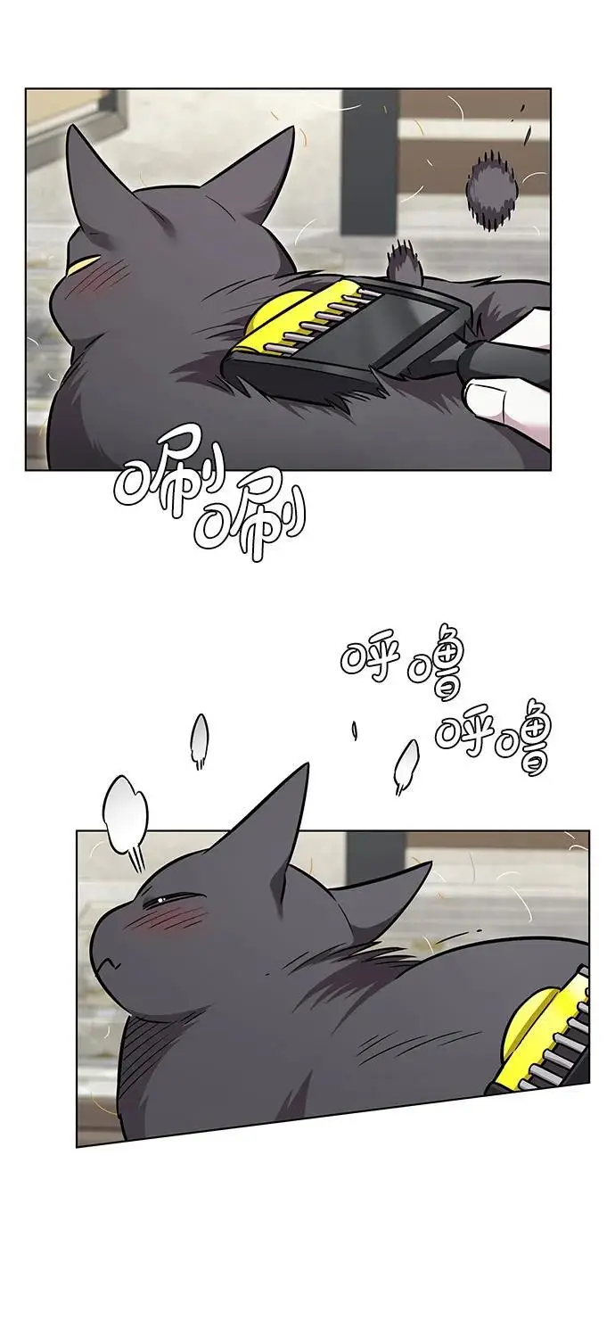漫画《觉醒吧，铲屎官！》第365话第4张图