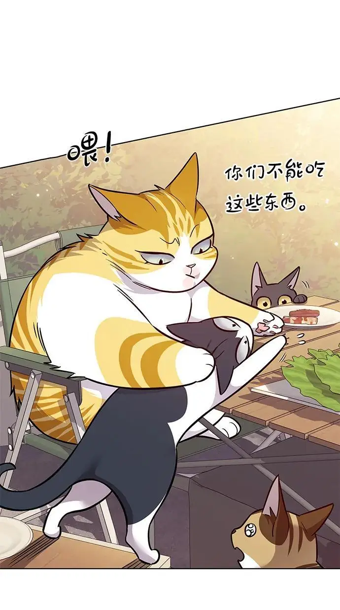 漫画《觉醒吧，铲屎官！》第366话第59张图