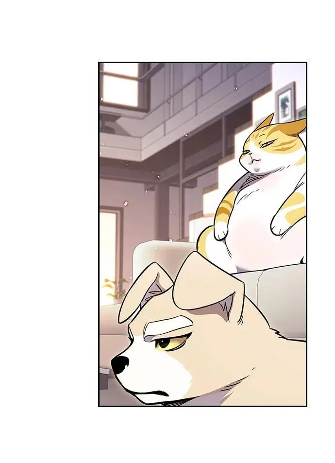 漫画《觉醒吧，铲屎官！》第370话第29张图