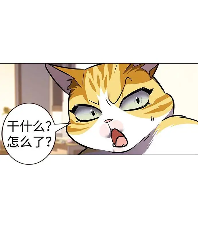 漫画《觉醒吧，铲屎官！》第370话第47张图