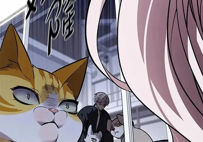 漫画《觉醒吧，铲屎官！》第393话第236张图