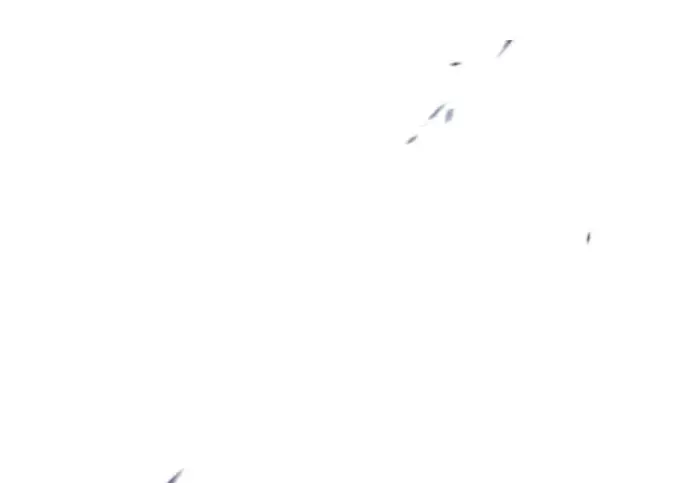 漫画《觉醒吧，铲屎官！》第400话第295张图