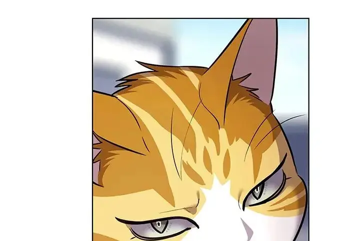 漫画《觉醒吧，铲屎官！》第404话第60张图