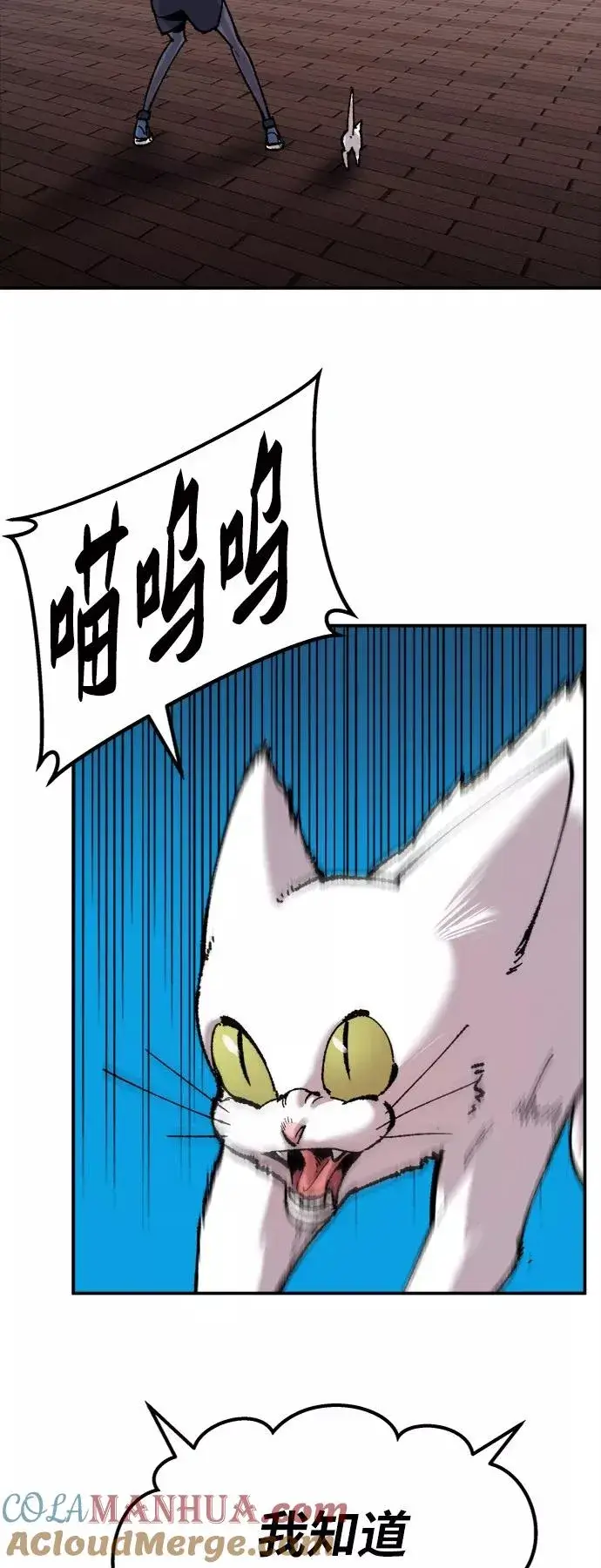 漫画《觉醒战士》[第37话] 作战开始第13张图