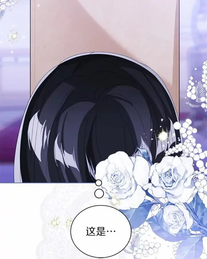 漫画《看见状态栏的宝贝皇女》106.消失的它第79张图