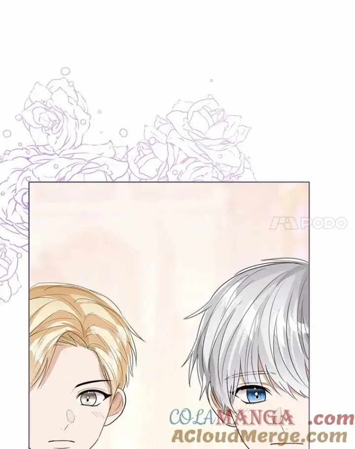 漫画《看见状态栏的宝贝皇女》110.红色胸针事件（1）第45张图