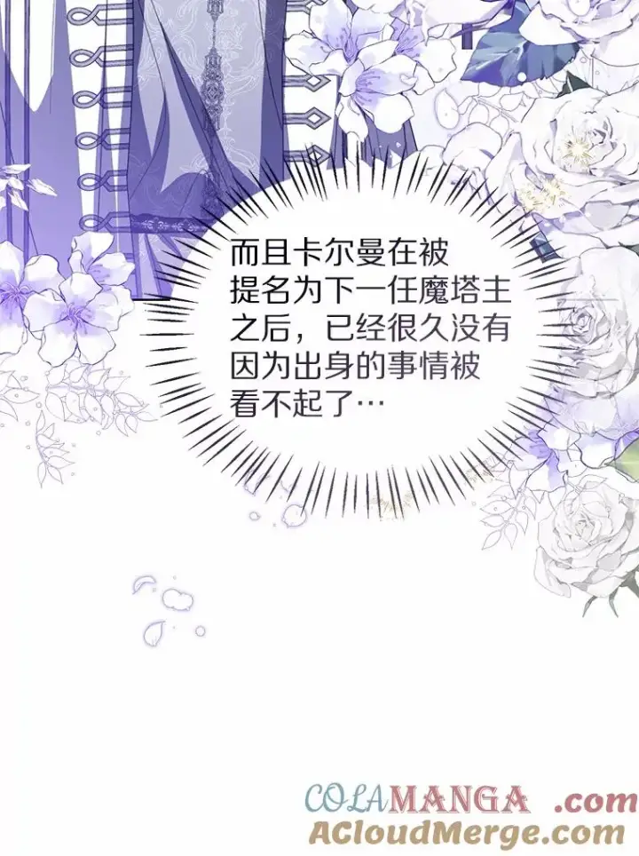 漫画《看见状态栏的宝贝皇女》111.红色胸针事件（2）第45张图