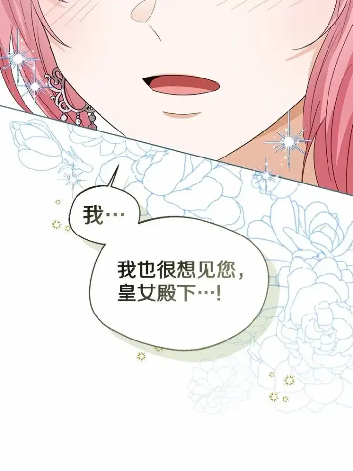 漫画《看见状态栏的宝贝皇女》111.红色胸针事件（2）第99张图