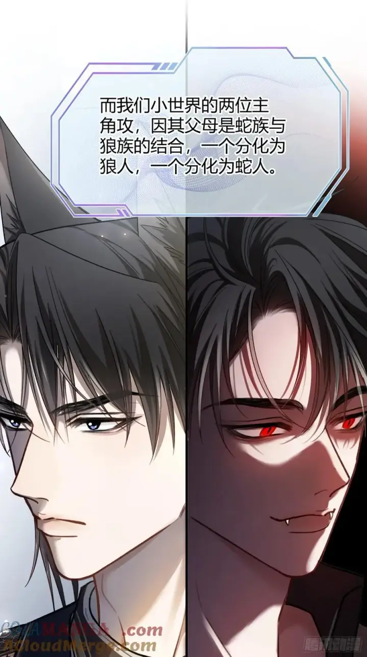 漫画《快穿：上瘾关系》39 兔兔成了拍卖品？！第16张图