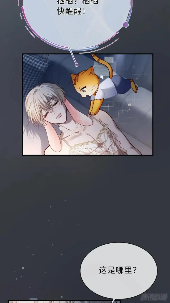 漫画《快穿：上瘾关系》42 黄雀在后第26张图