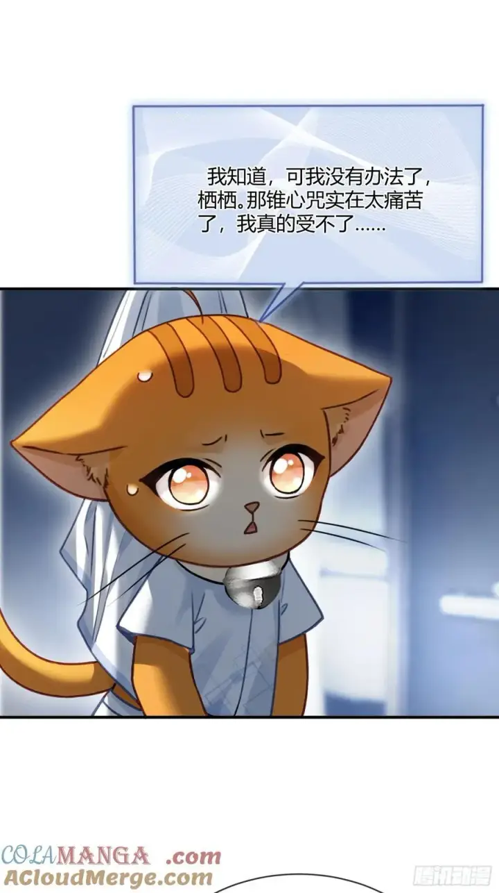 漫画《快穿：上瘾关系》112 魔君vs天君第16张图