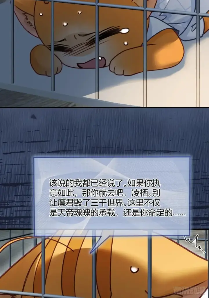 漫画《快穿：上瘾关系》112 魔君vs天君第24张图