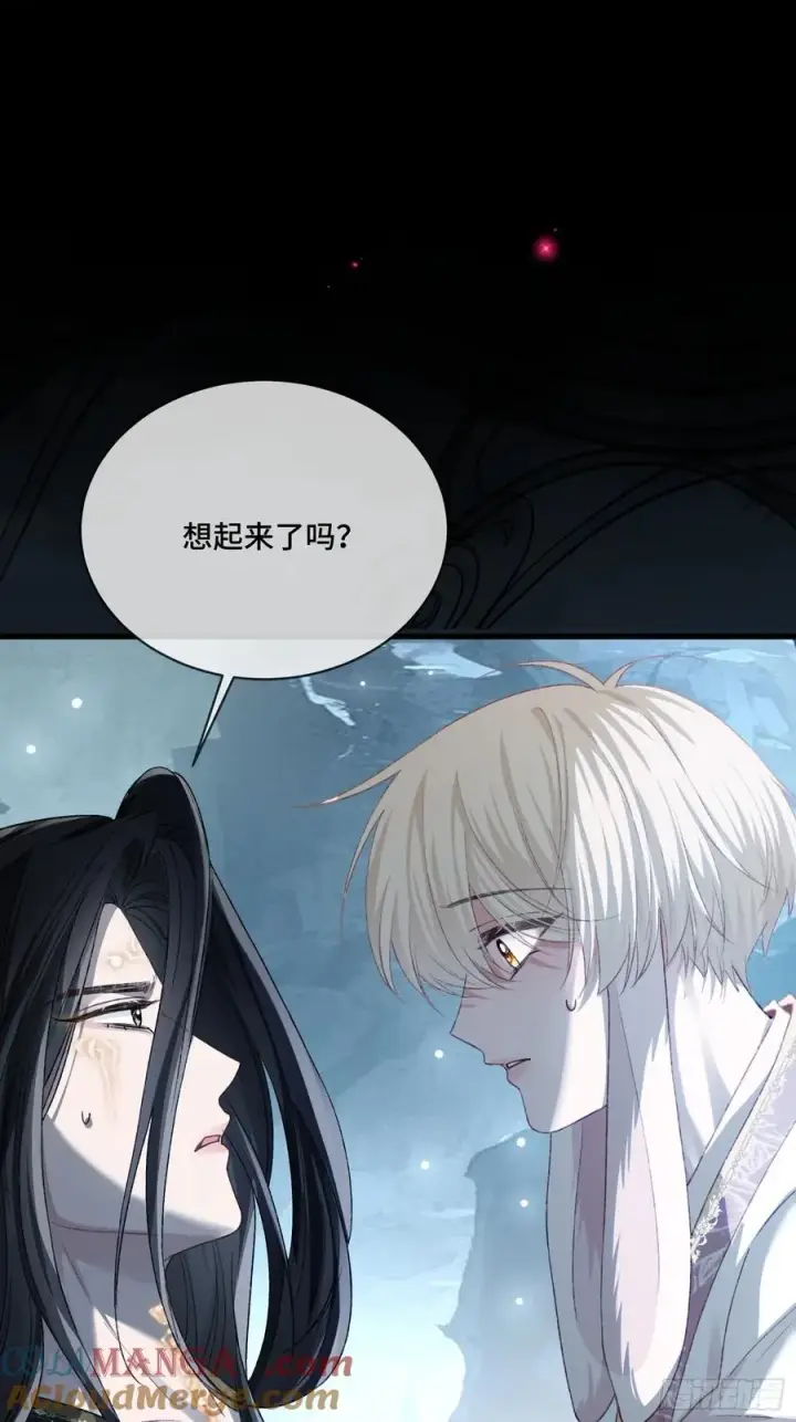 漫画《快穿：上瘾关系》127 前世因缘第46张图