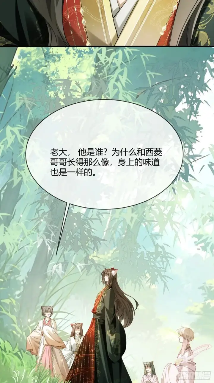 漫画《快穿：上瘾关系》131 毛茸茸大聚会第33张图