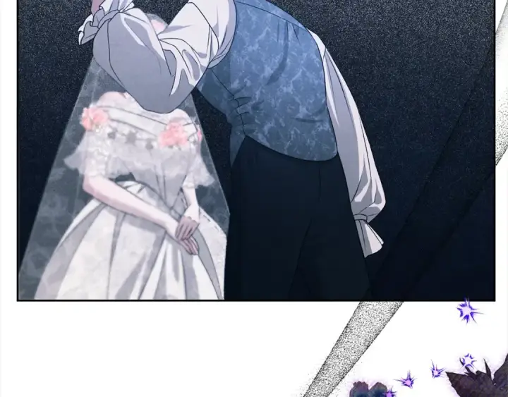 漫画《掠夺婚姻》第0话 我要毁掉你的人生！第157张图