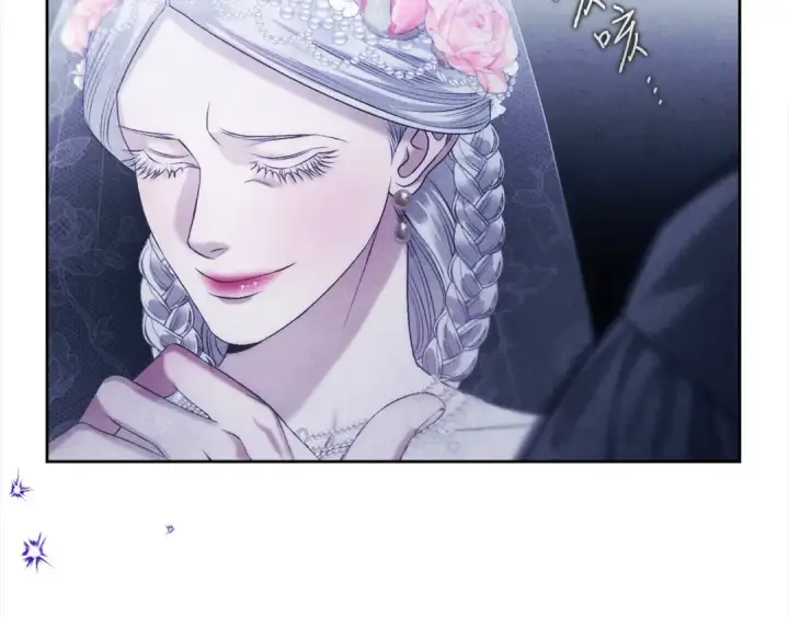 漫画《掠夺婚姻》第0话 我要毁掉你的人生！第162张图