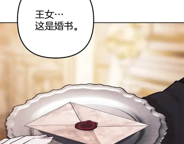 漫画《掠夺婚姻》第0话 我要毁掉你的人生！第97张图