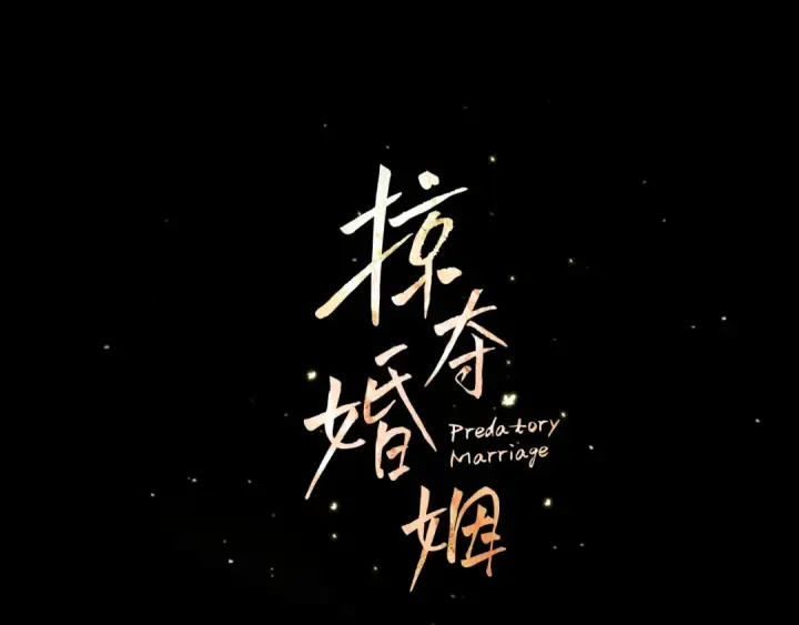 漫画《掠夺婚姻》第55话 到达库坎第12张图