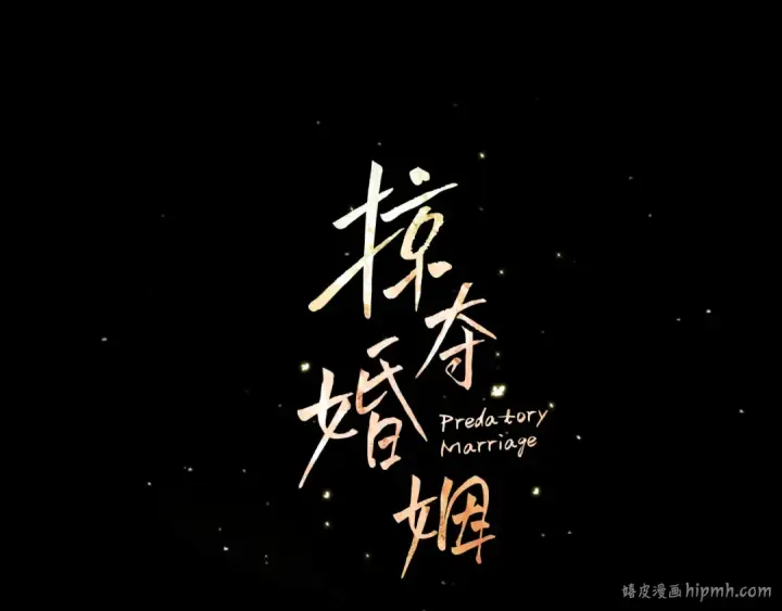 漫画《掠夺婚姻》完结话 再次回到艾斯提尔国第16张图