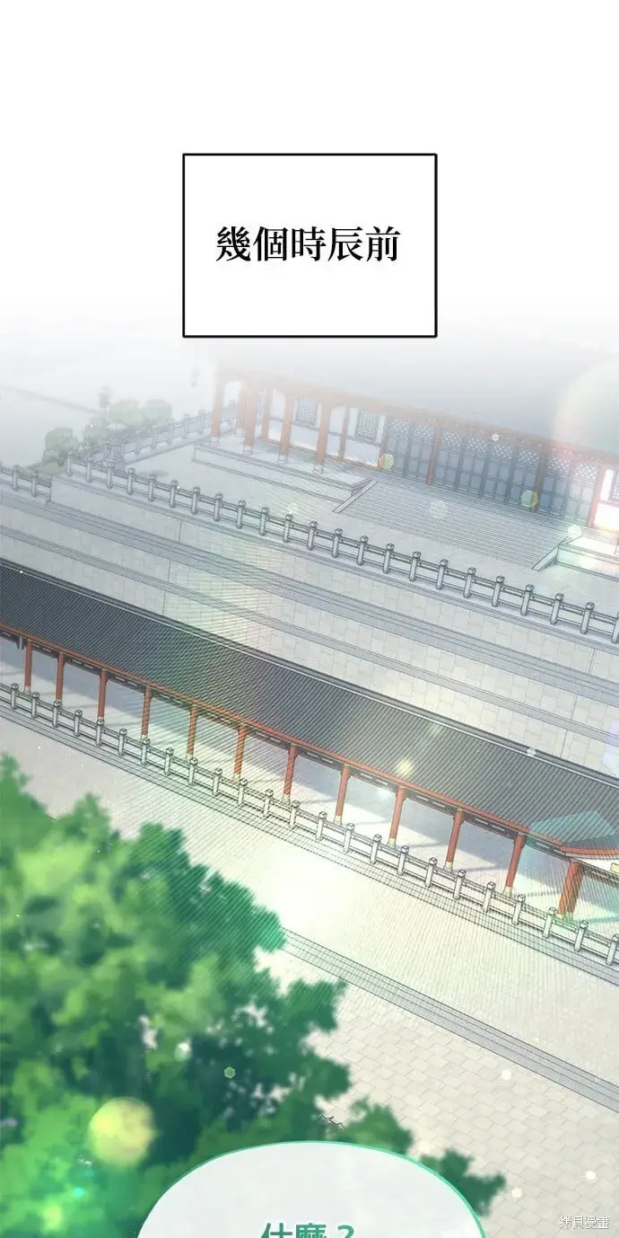 漫画《琳的第六次皇宫生存记》第44话第29张图