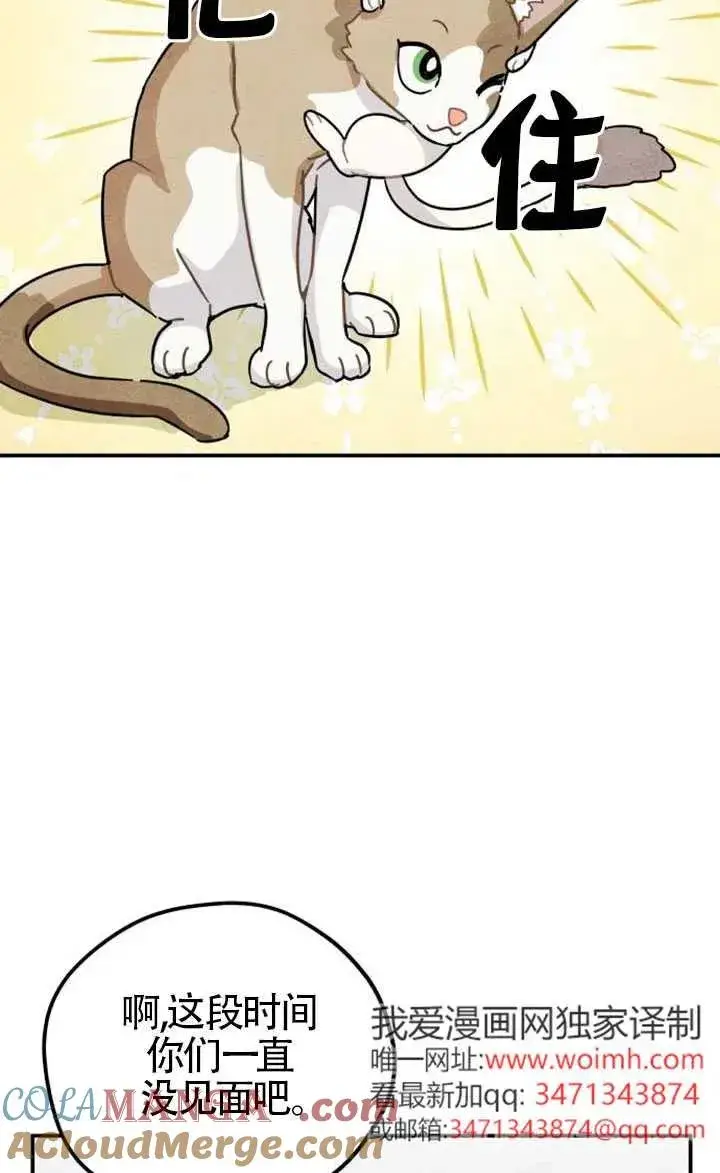 漫画《灵药魔女》第85话第9张图