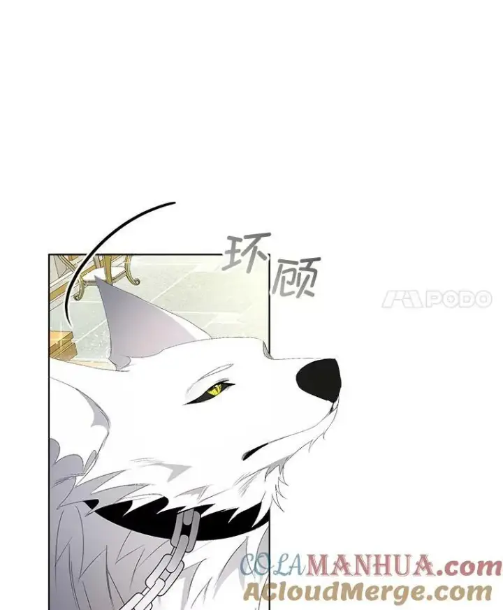 漫画《临时保护我方男主》3.训练第4张图