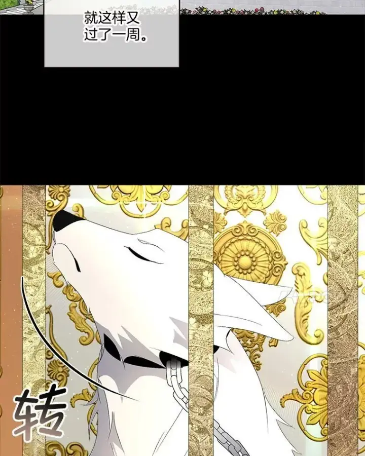 漫画《临时保护我方男主》4.夏夏逃脱第21张图