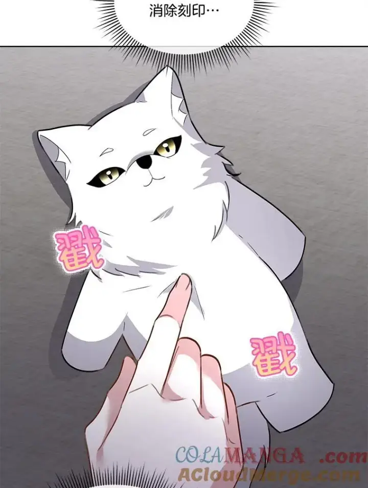 漫画《临时保护我方男主》63.传闻第13张图
