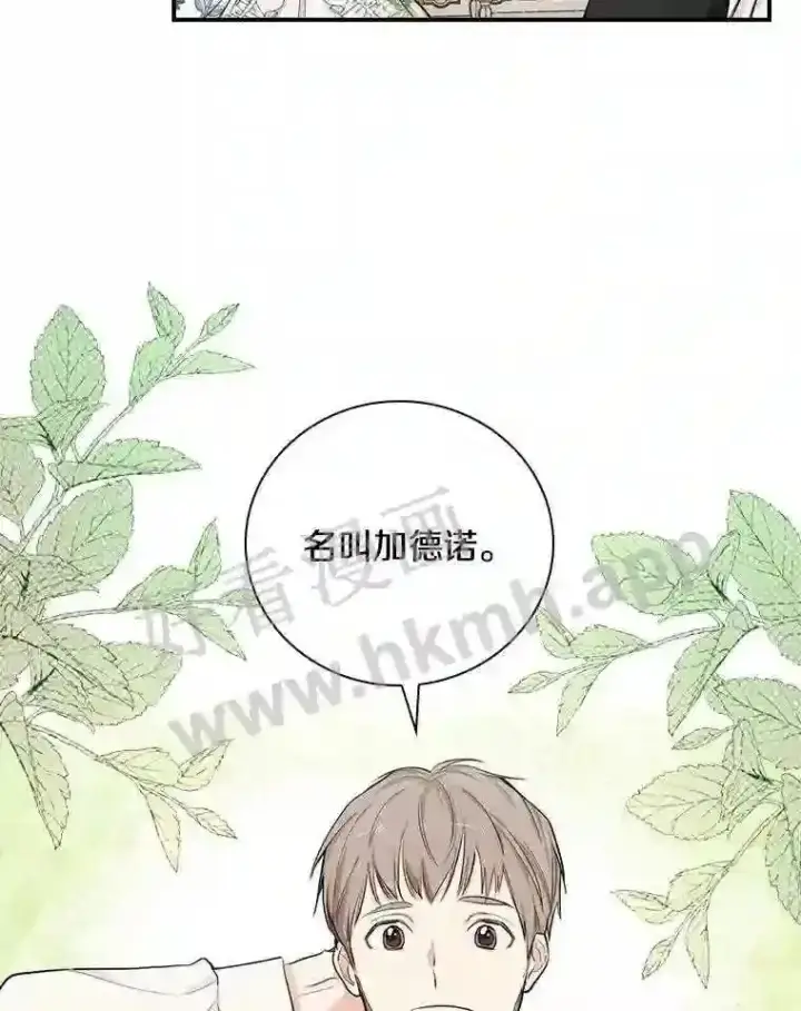 漫画《立志成为勇士的母亲》8.自作聪明的女佣第10张图