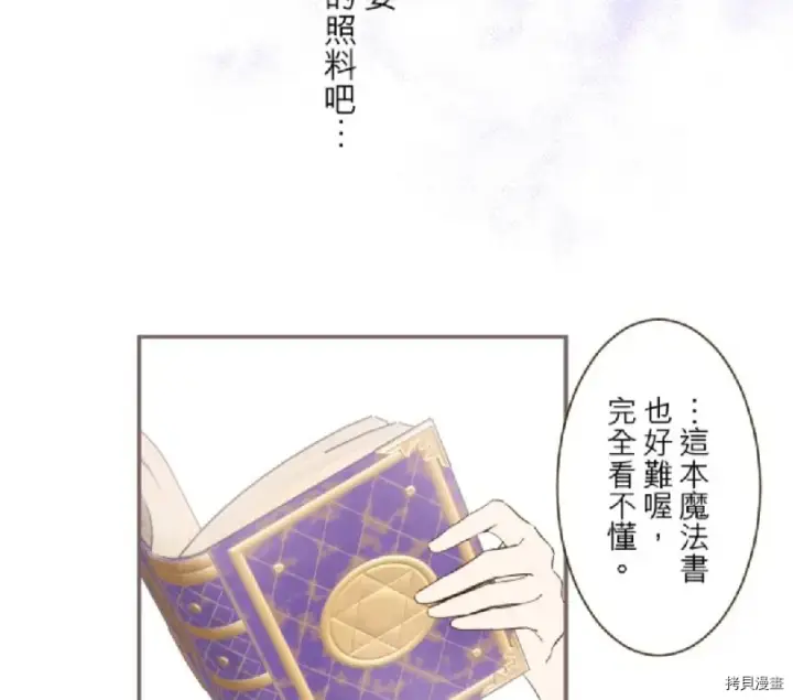 漫画《龙骑士与转生圣女》第12话第7张图