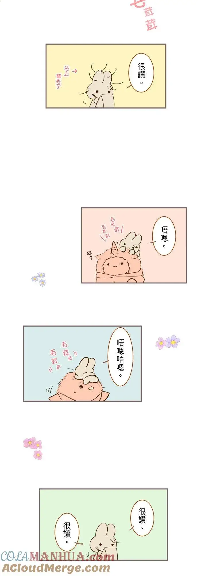 漫画《龙骑士与转生圣女》加绘短篇 小普卡第4张图