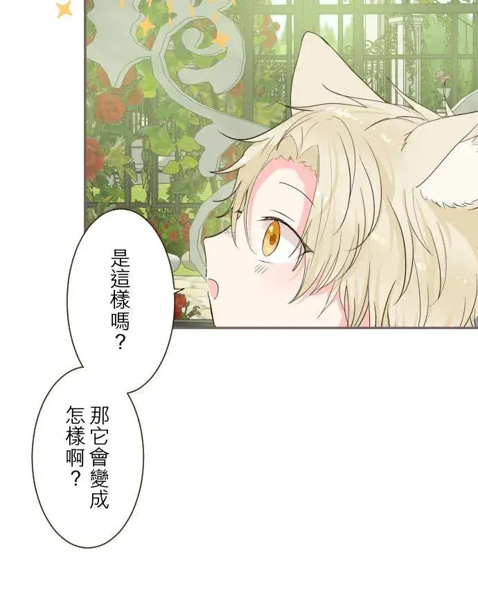 漫画《龙骑士与转生圣女》96话 慰借第20张图