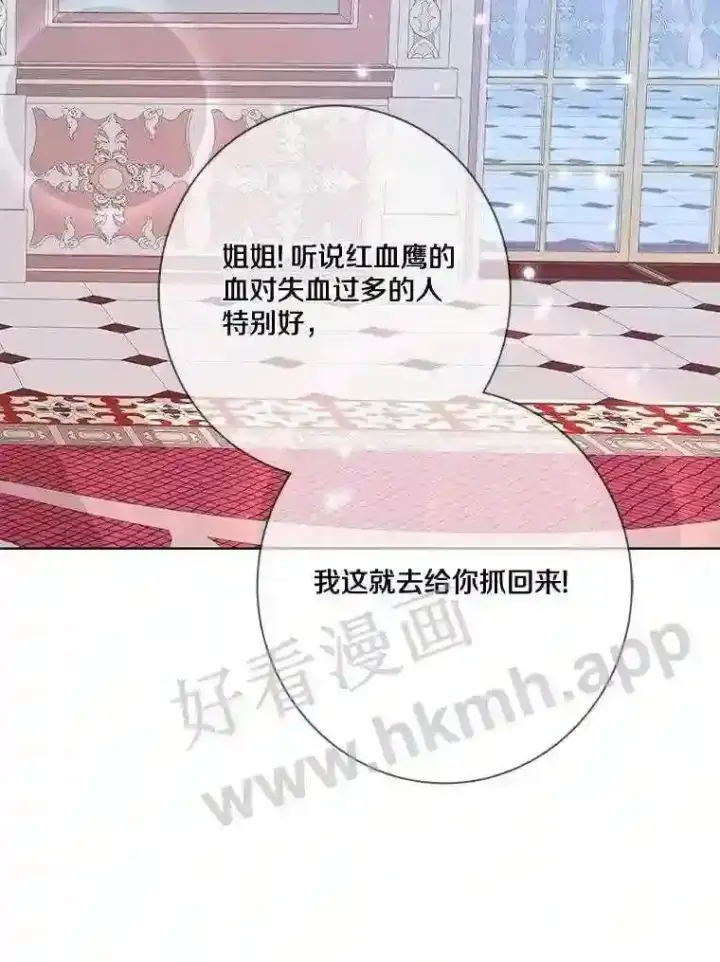 漫画《龙套大公子妃的花路人生》11.找到约翰了第66张图